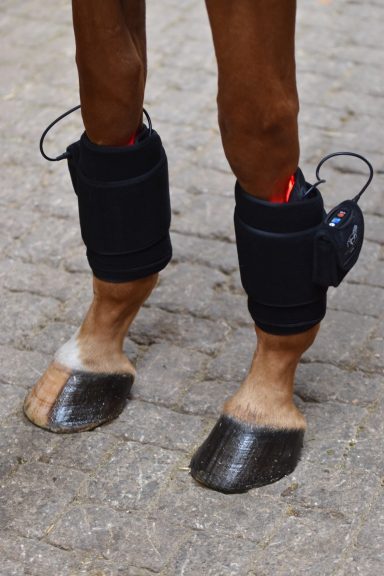 LuxMy Lichttherapie S-Pad LuxMy Lichttherapie S-Pad