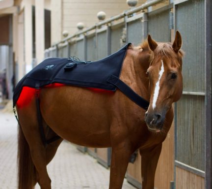 LuxMy Lichttherapie-Decke LuxMy Lichttherapie-Decke