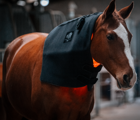 LuxMy Lichttherapie L-Pad – Großflächig & vielseitig. LuxMy Lichttherapie L-Pad – Großflächig & vielseitig.